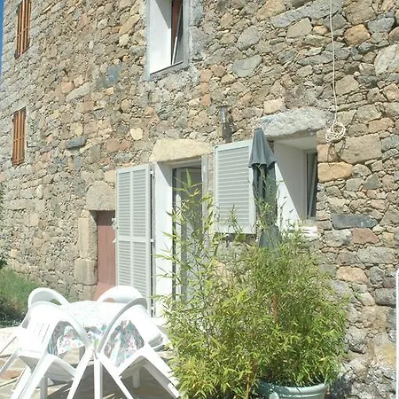 Letia Noce